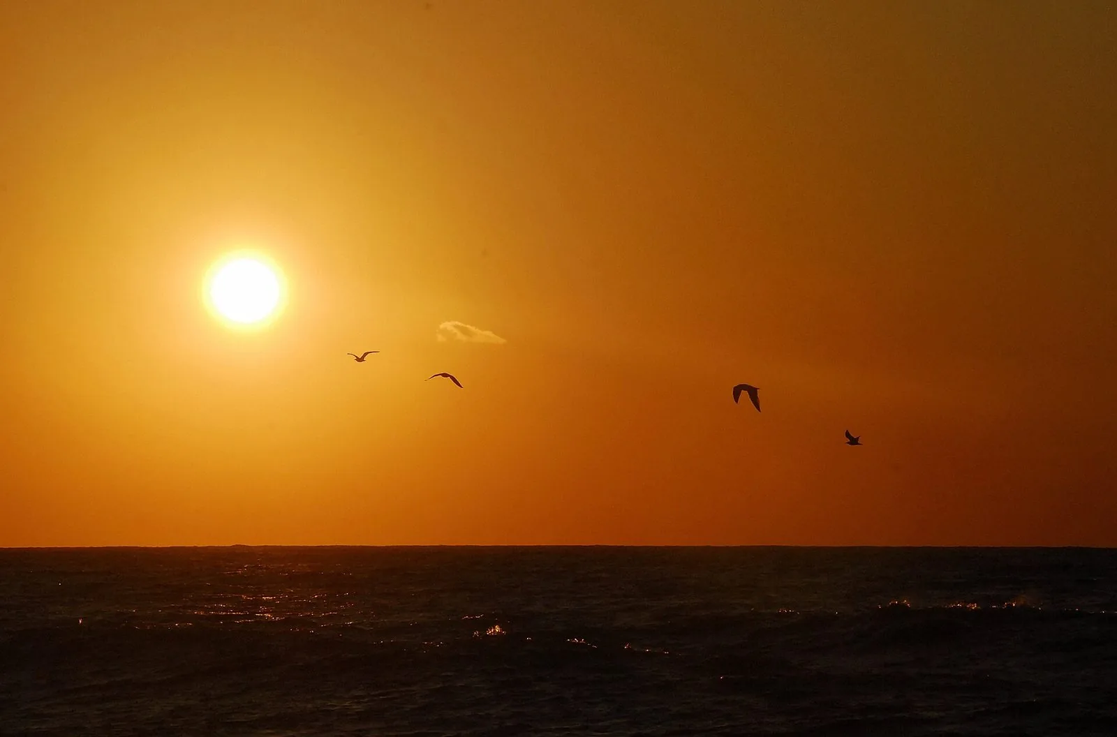 Tramonto arancione sul mare di Carini con gabbiani in volo